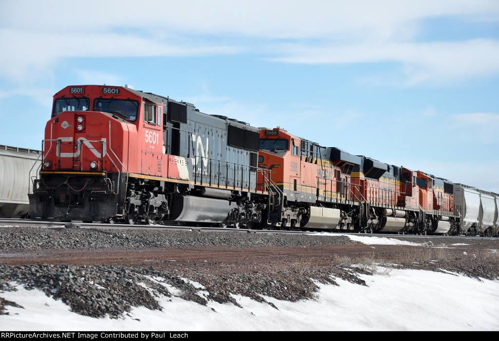 Tied down sand train